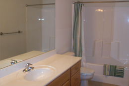 Main Floor Bathroom